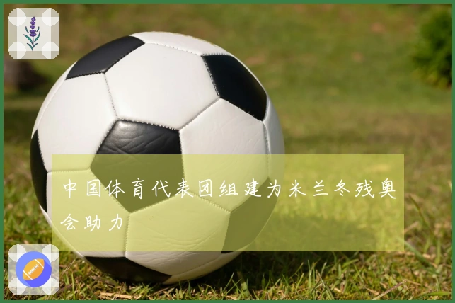 中国体育代表团组建为米兰冬残奥会助力
